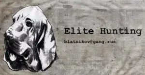 HOSTEL de ELI ROTH, ¿FANTASÍA o REALIDAD?