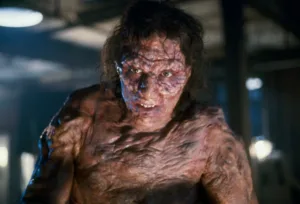 The Fly