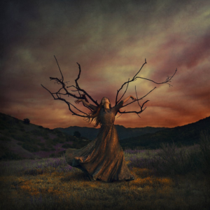 Brooke Shaden